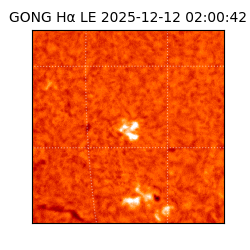 gong - 2025-12-12T02:00:42