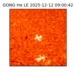 gong - 2025-12-12T09:00:42