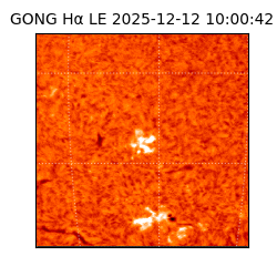 gong - 2025-12-12T10:00:42