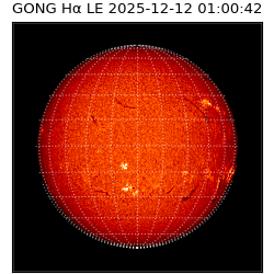 gong - 2025-12-12T01:00:42