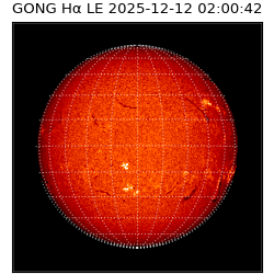 gong - 2025-12-12T02:00:42
