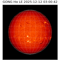 gong - 2025-12-12T03:00:42