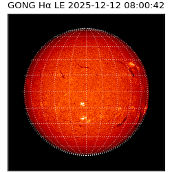 gong - 2025-12-12T08:00:42
