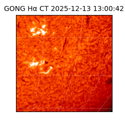 gong - 2025-12-13T13:00:42