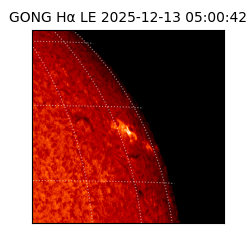 gong - 2025-12-13T05:00:42