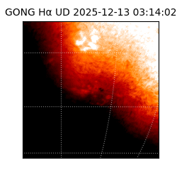 gong - 2025-12-13T03:14:02
