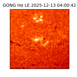 gong - 2025-12-13T04:00:42