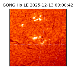 gong - 2025-12-13T09:00:42