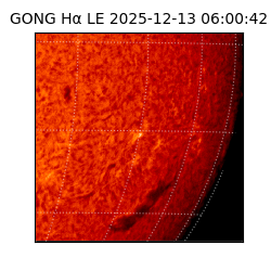 gong - 2025-12-13T06:00:42