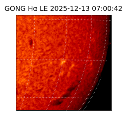 gong - 2025-12-13T07:00:42
