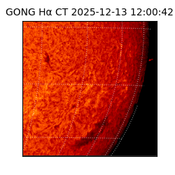 gong - 2025-12-13T12:00:42