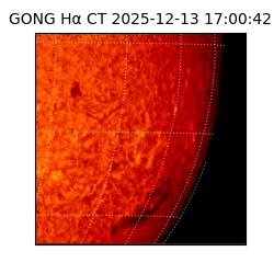 gong - 2025-12-13T17:00:42