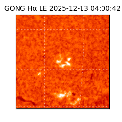 gong - 2025-12-13T04:00:42