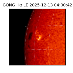 gong - 2025-12-13T04:00:42