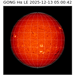gong - 2025-12-13T05:00:42
