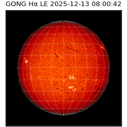 gong - 2025-12-13T08:00:42