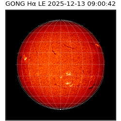 gong - 2025-12-13T09:00:42