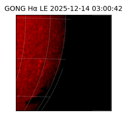 gong - 2025-12-14T03:00:42