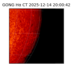 gong - 2025-12-14T20:00:42