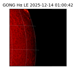 gong - 2025-12-14T01:00:42