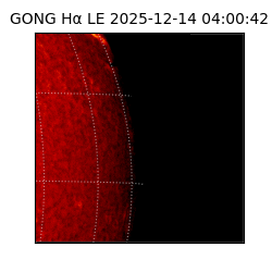 gong - 2025-12-14T04:00:42