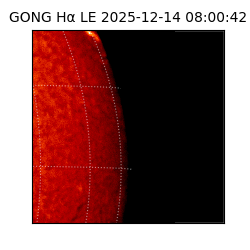 gong - 2025-12-14T08:00:42