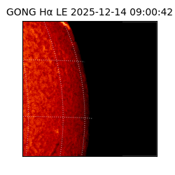 gong - 2025-12-14T09:00:42