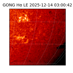 gong - 2025-12-14T03:00:42