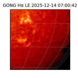 gong - 2025-12-14T07:00:42
