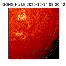 gong - 2025-12-14T09:00:42