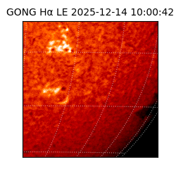 gong - 2025-12-14T10:00:42