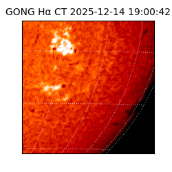 gong - 2025-12-14T19:00:42