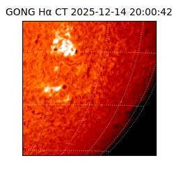 gong - 2025-12-14T20:00:42