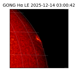 gong - 2025-12-14T03:00:42