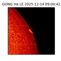 gong - 2025-12-14T09:00:42