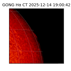 gong - 2025-12-14T19:00:42