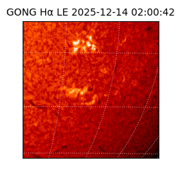 gong - 2025-12-14T02:00:42