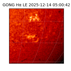gong - 2025-12-14T05:00:42