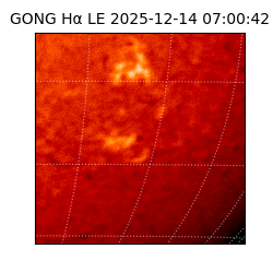 gong - 2025-12-14T07:00:42