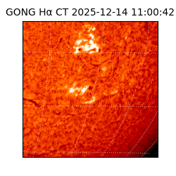 gong - 2025-12-14T11:00:42