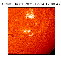 gong - 2025-12-14T12:00:42