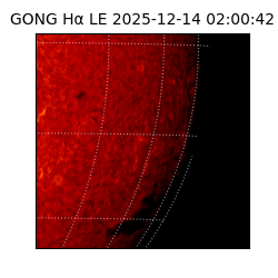 gong - 2025-12-14T02:00:42