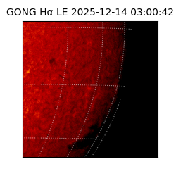 gong - 2025-12-14T03:00:42