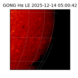 gong - 2025-12-14T05:00:42