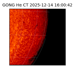 gong - 2025-12-14T16:00:42