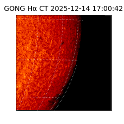 gong - 2025-12-14T17:00:42