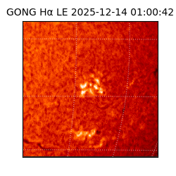 gong - 2025-12-14T01:00:42