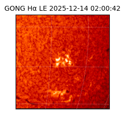 gong - 2025-12-14T02:00:42