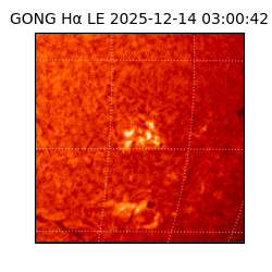 gong - 2025-12-14T03:00:42