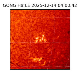 gong - 2025-12-14T04:00:42